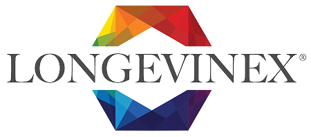 Logevinex-BrandGuidelines [09.11.23] (1) (1)-05 1